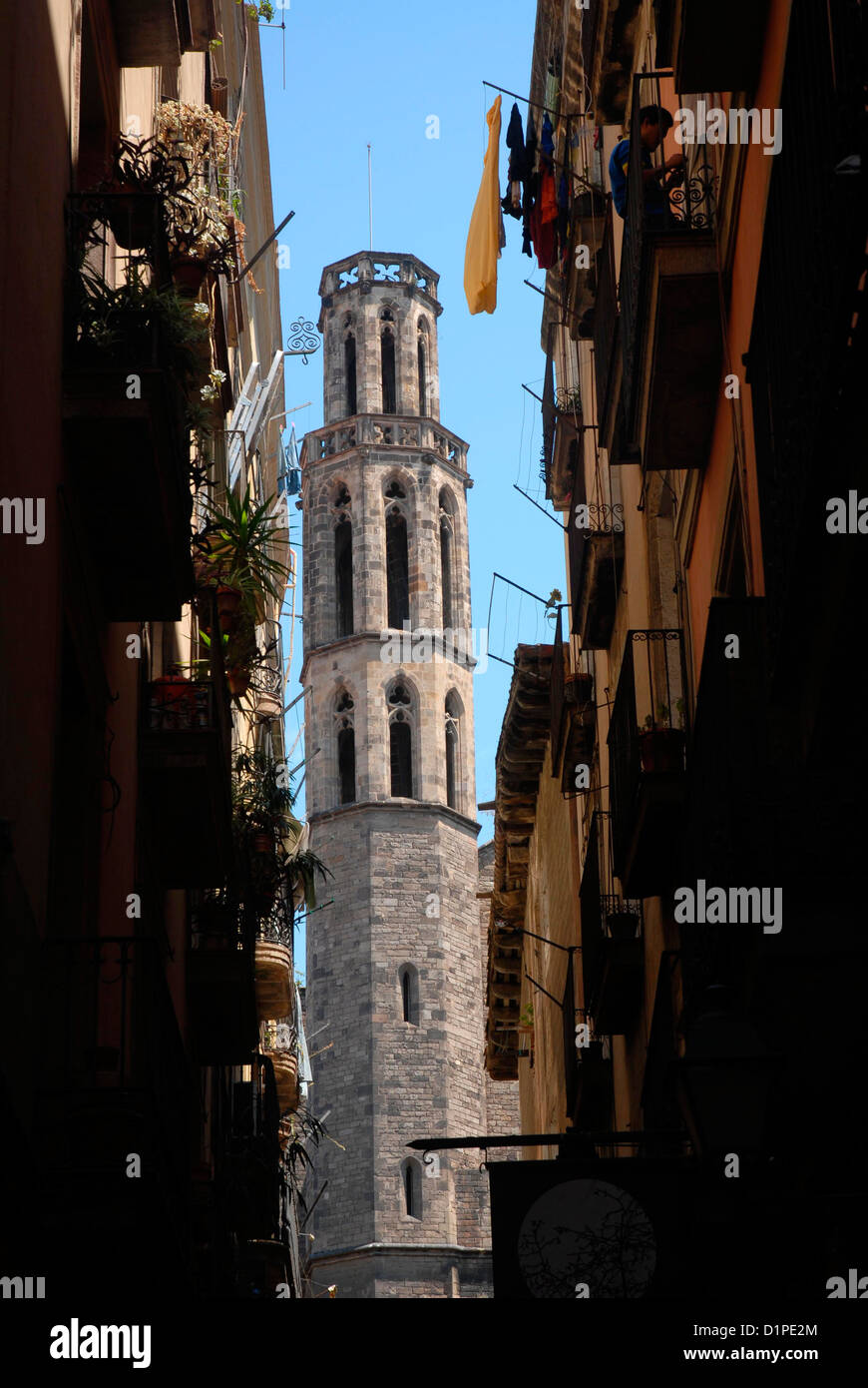 tower of Basilica St. Mary of the Sea. Shore neighborhood, la ribera, born borne Barcelona gothic district old city. Stock Photo