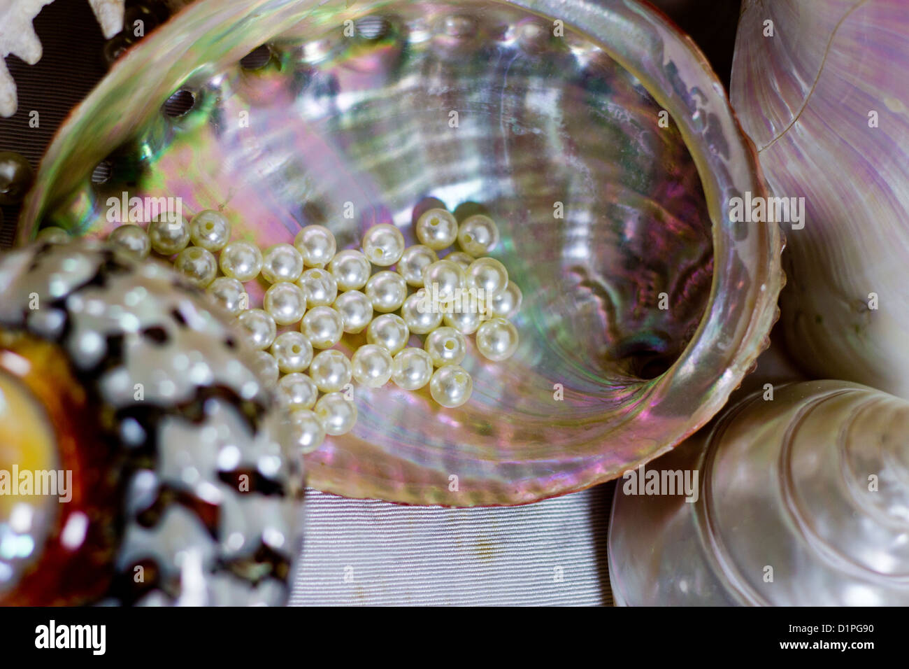 Pearls and Seashells Stock Photo Alamy