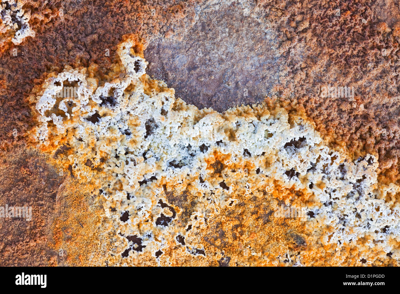Patterns formed in algae and minerals around geothermal springs near Grindavik, Iceland July Stock Photo
