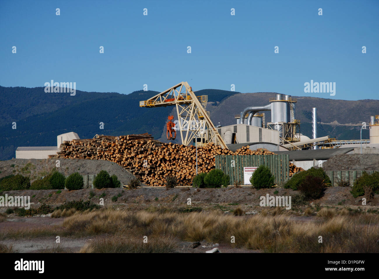 Timber cultivation hi-res stock photography and images - Alamy
