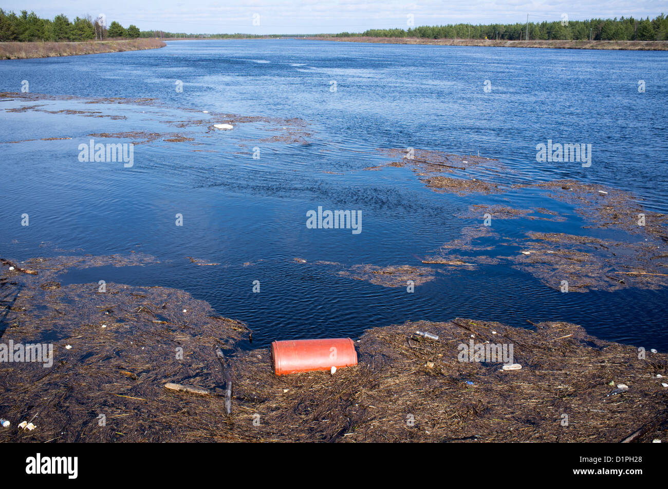 View of floating debris at the water reservoir upstream from Raasakka dam at river Iijoki , Finland Stock Photo