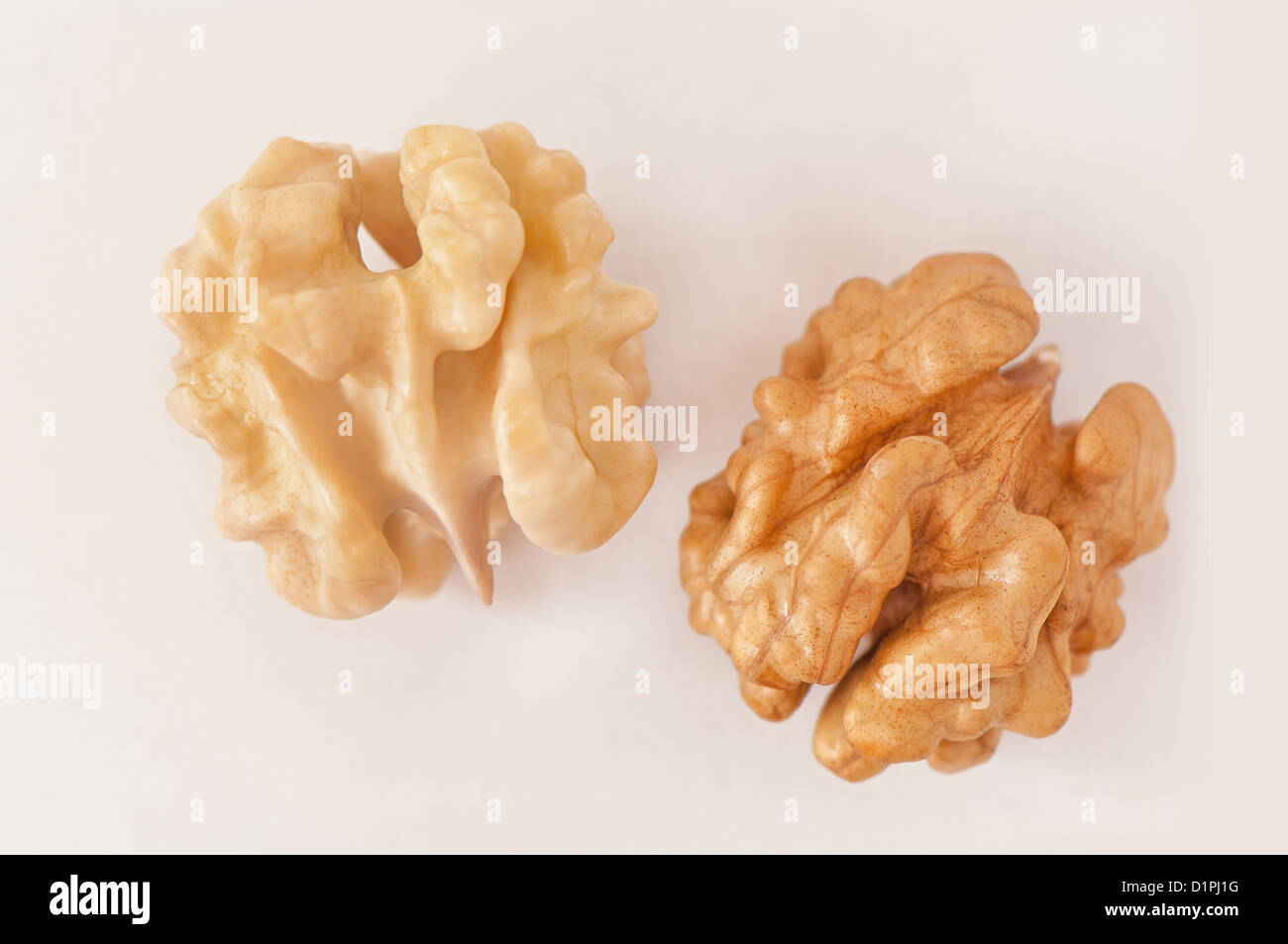 Two isolated walnuts, white and beige Stock Photo