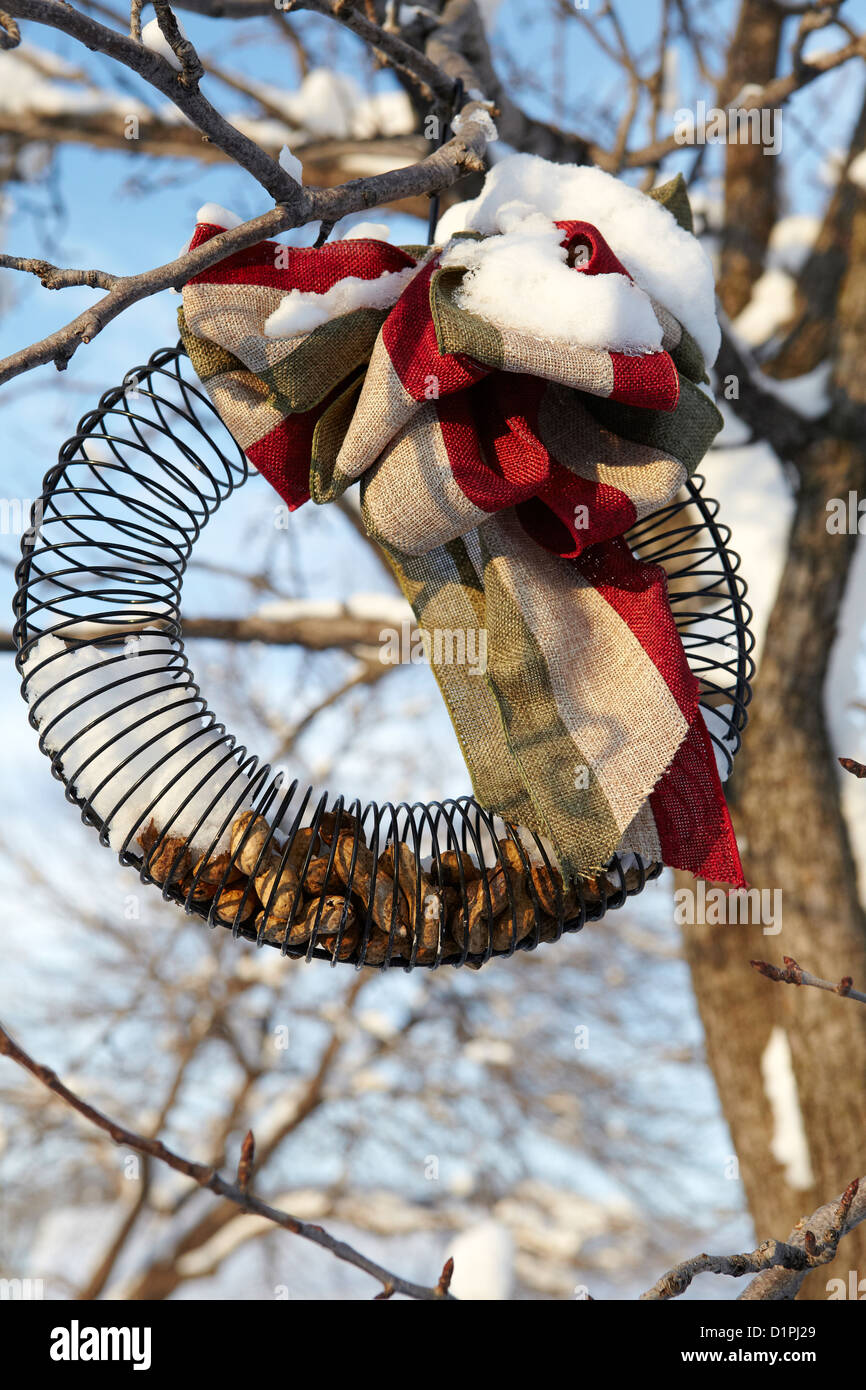 Christmas bird feeder hires stock photography and images Alamy