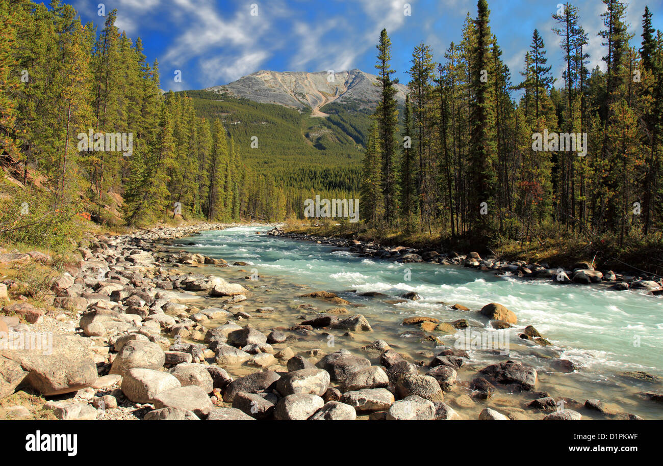 the Athabasca River in Jasper national park, Alberta Stock Photo
