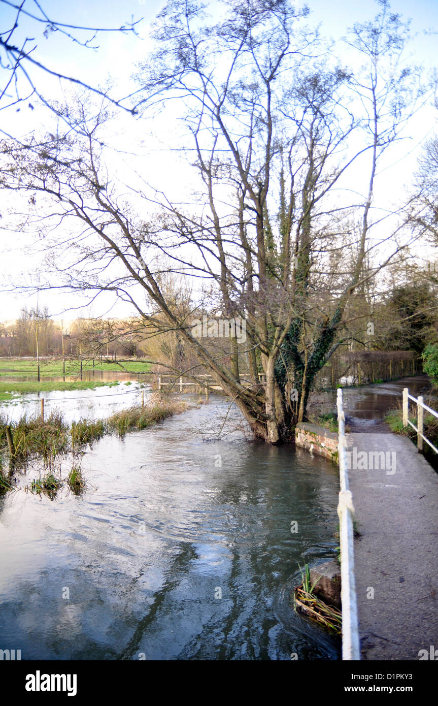 Ramsbury, Wiltshire, UK. 1st January 2013. the River Kennet Tributory bursting its banks in Ramsbury, Wiltshire picture by Graham Finney celebrityphotos uk Stock Photo