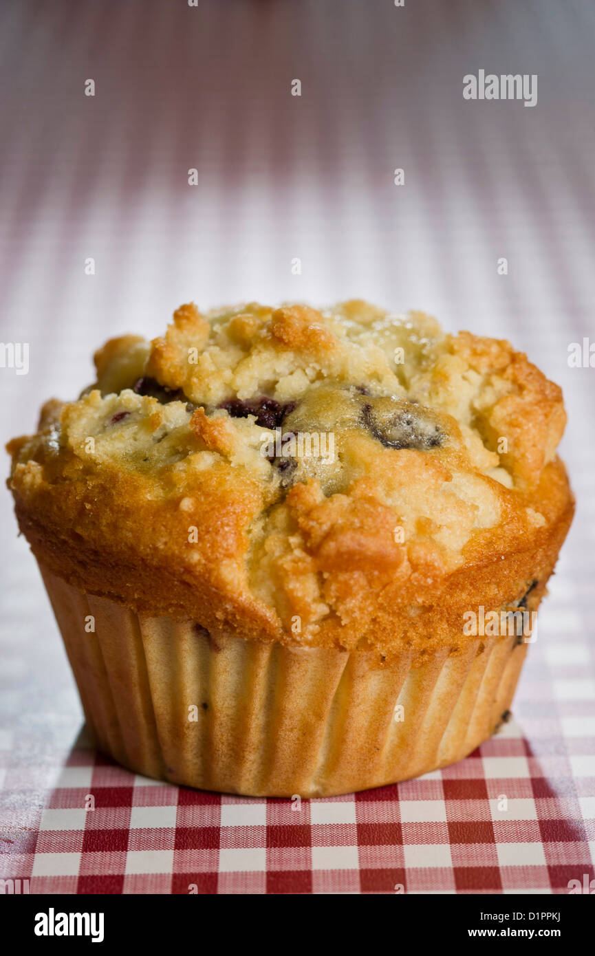 A single blueberry muffin sits on a red checkered tablecloth. Stock Photo