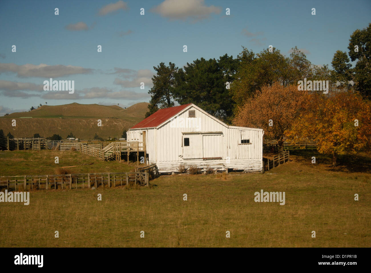 Farm house on New Zealand's North Island, viewed from the common room