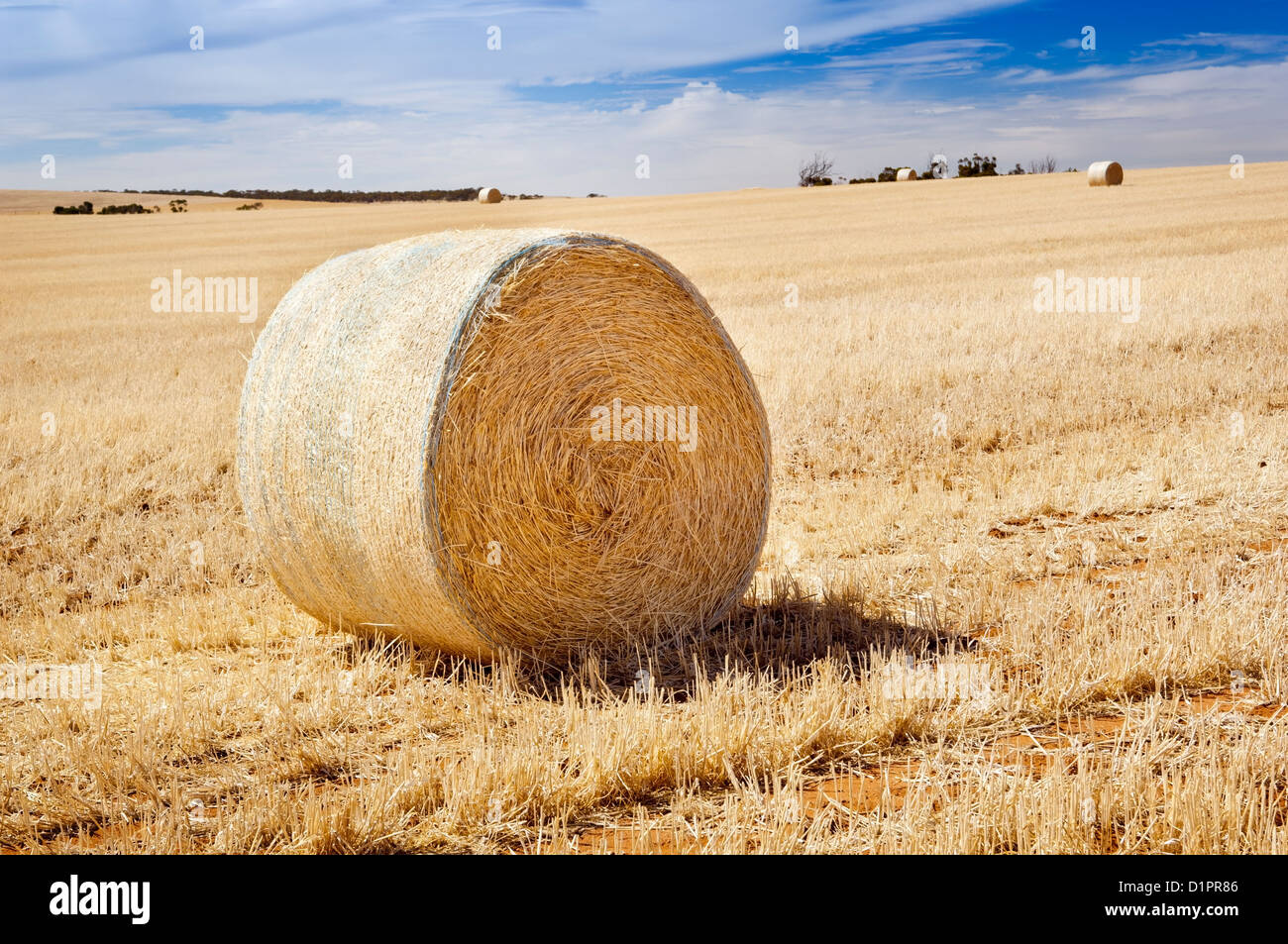Harvest time with hay bales in the summer sun Stock Photo - Alamy