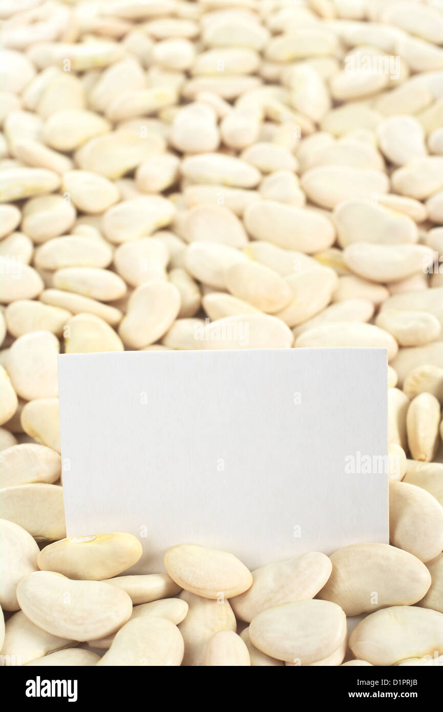 Dried raw butter bean or also called lima bean (lat. Phaseolus lunatus) with a blank card (Selective Focus, Focus on the card) Stock Photo