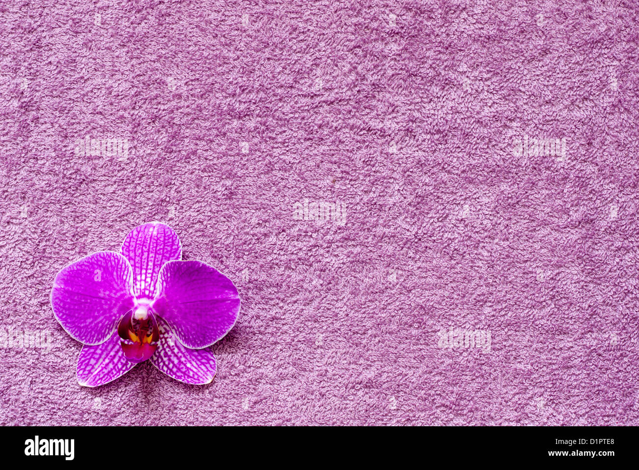 Orchid on the towel spa cosmetic abstract background Stock Photo