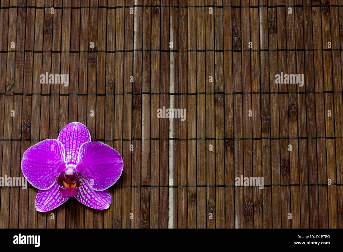 Orchid on bamboo mat spa cosmetic abstract vintage background Stock Photo