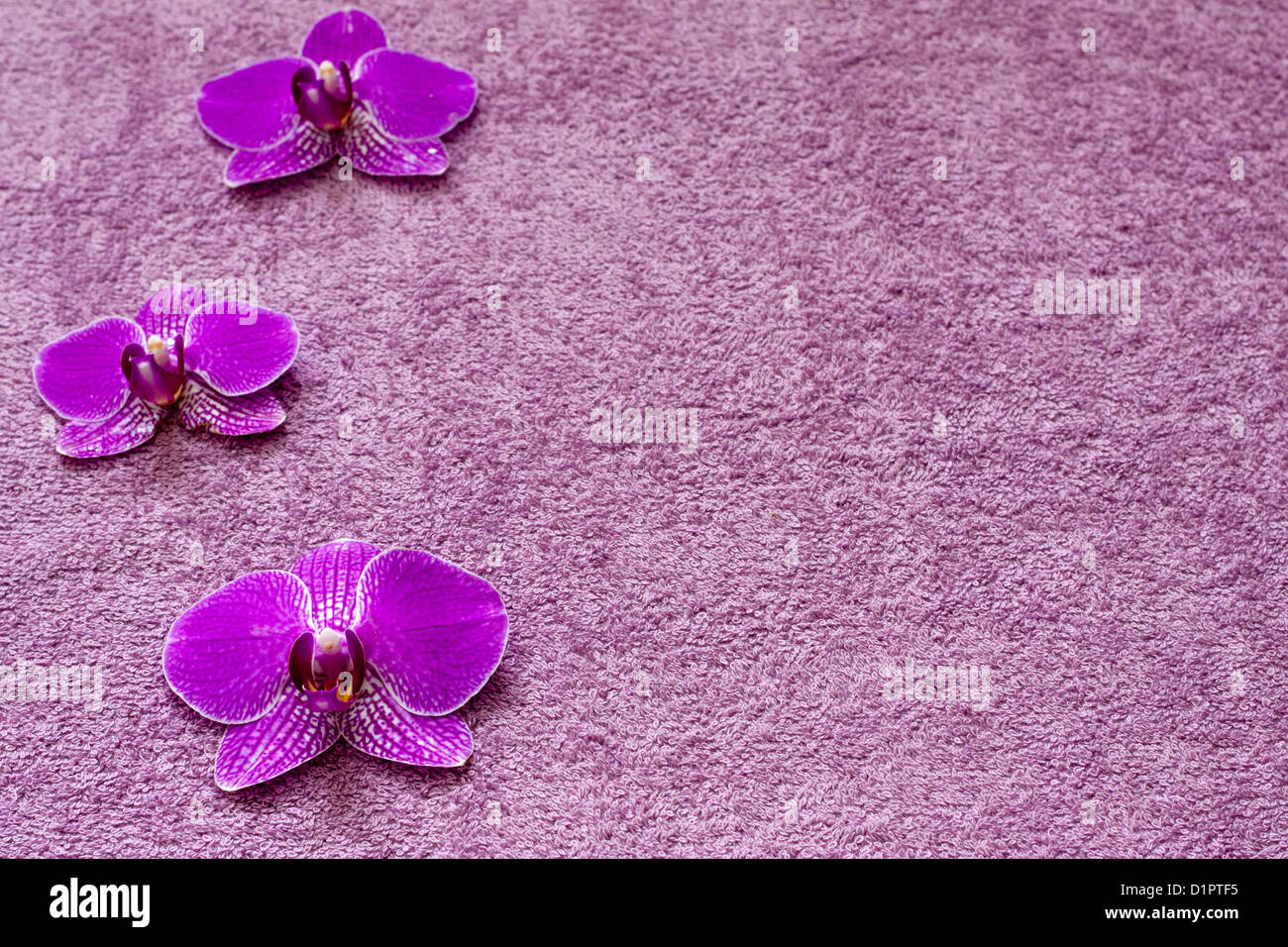 Orchid on the towel spa cosmetic abstract background Stock Photo