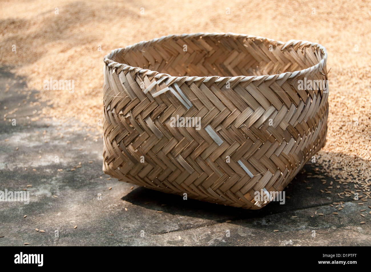 Bamboo basket used for collecting harvested paddy crop Stock Photo Alamy
