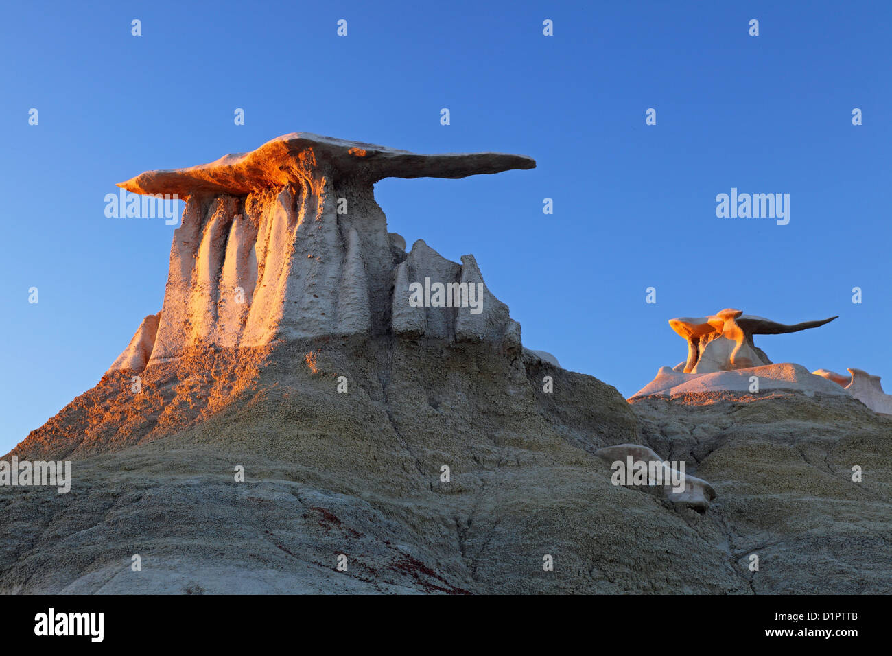 Stone Wings at sunset, Bisti Wilderness, Farmington, New Mexico, USA