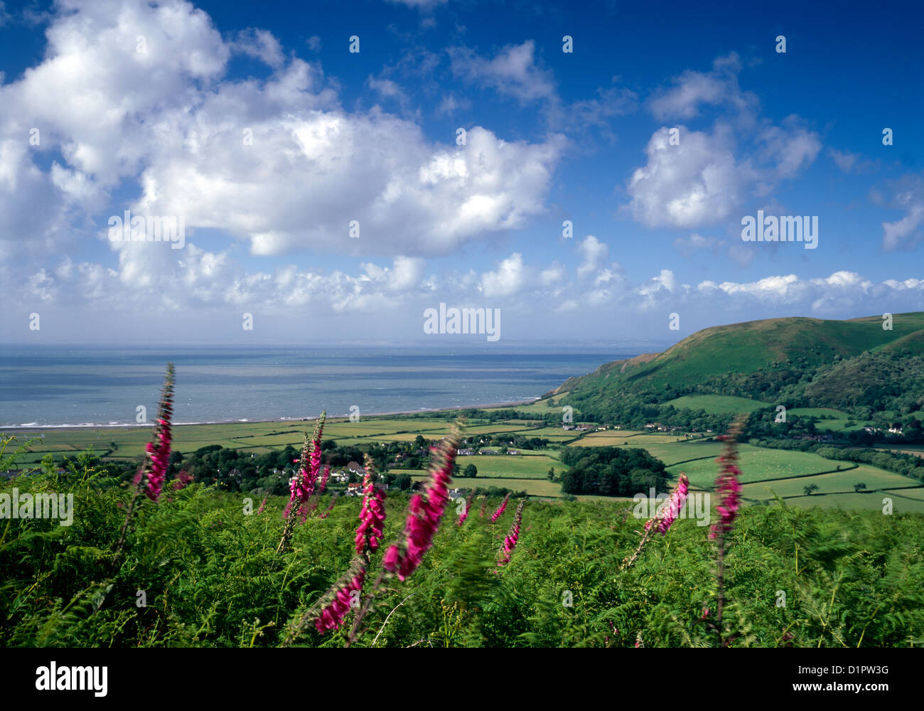A view of Porlock Bay on the Somerset coast, photographed from Crawter Hill. Stock Photo