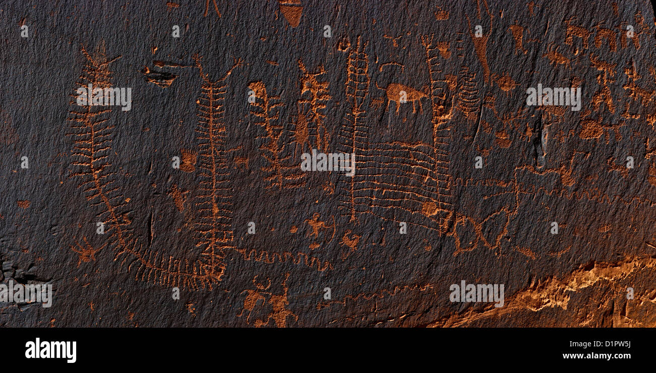 Millipede Patterns, Formative Period Petroglyphs, Utah Scenic Byway 279, Potash Road, Rock Art Sites, Moab, Utah, USA Stock Photo