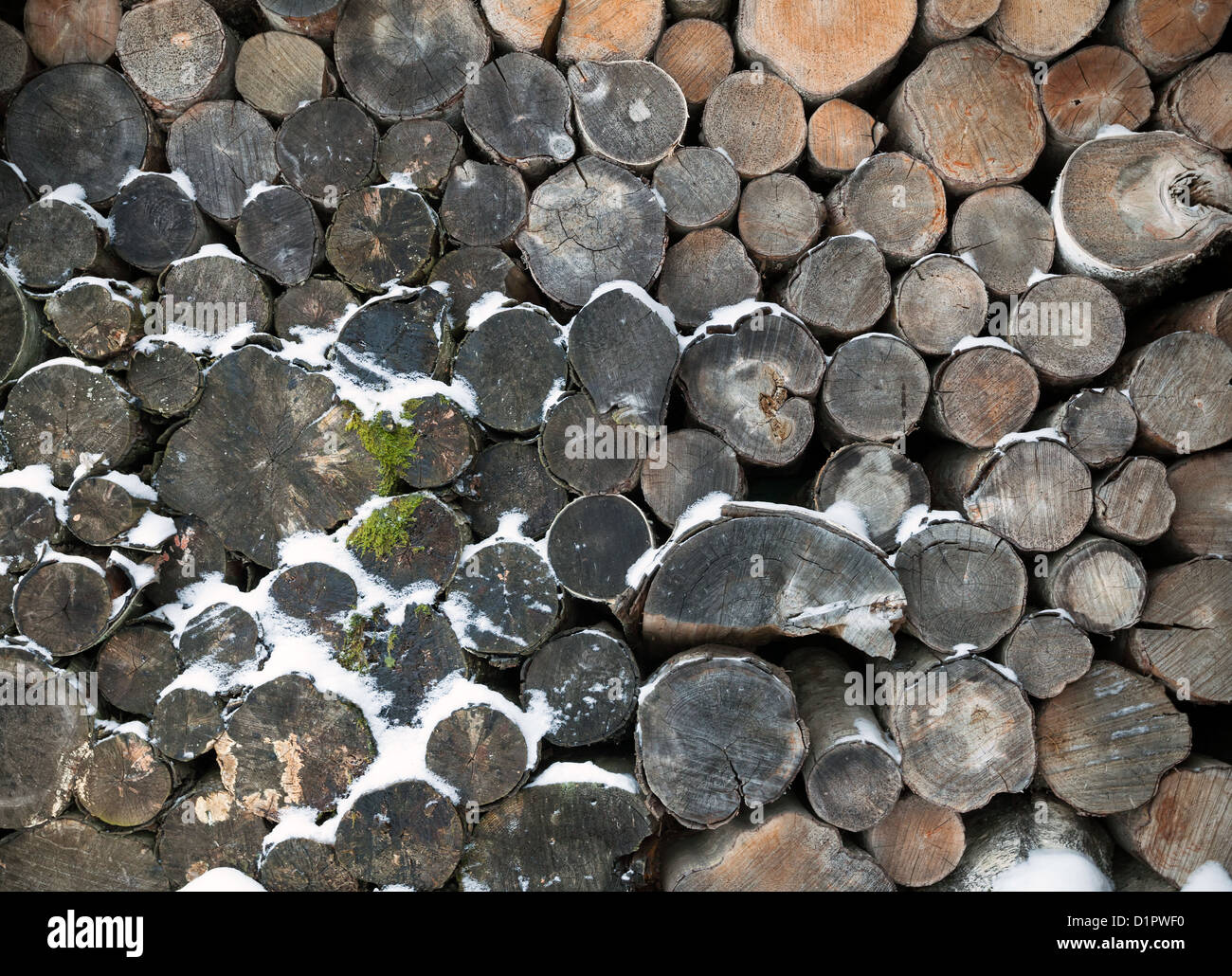 Old logs with show background texture Stock Photo