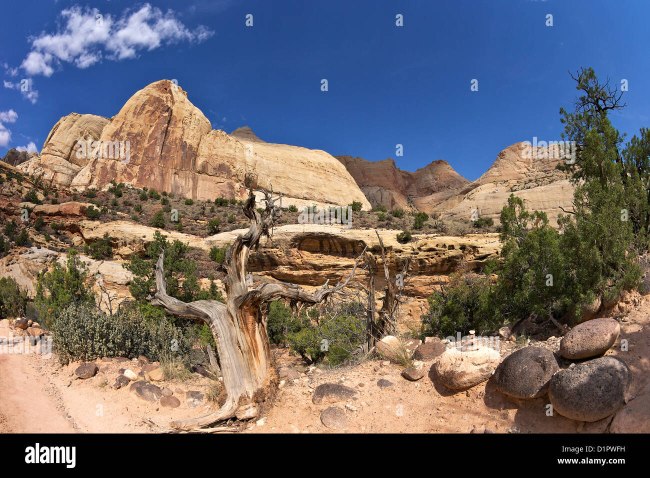 Hickman Bridge Trail, Navajo Dome, Capitol Reef National Park, Utah, USA Stock Photo