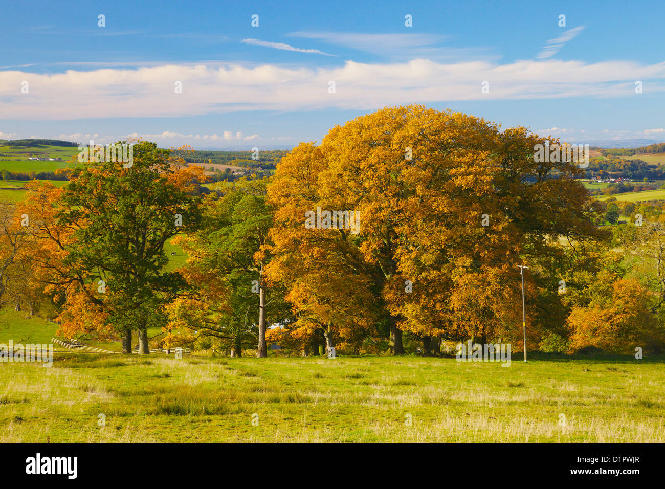 Ainstable cumbria hi-res stock photography and images - Alamy