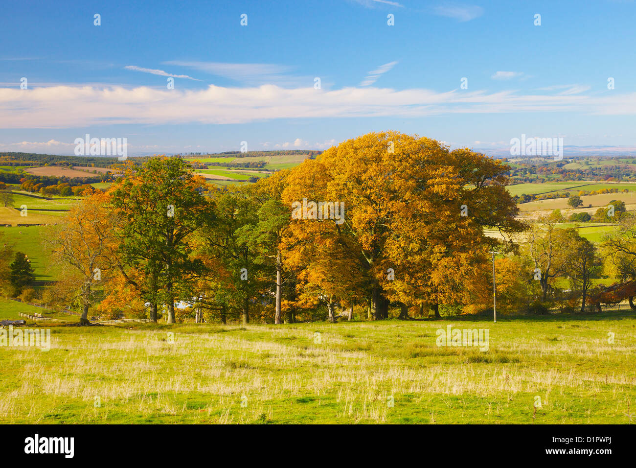 Ainstable cumbria hi-res stock photography and images - Alamy