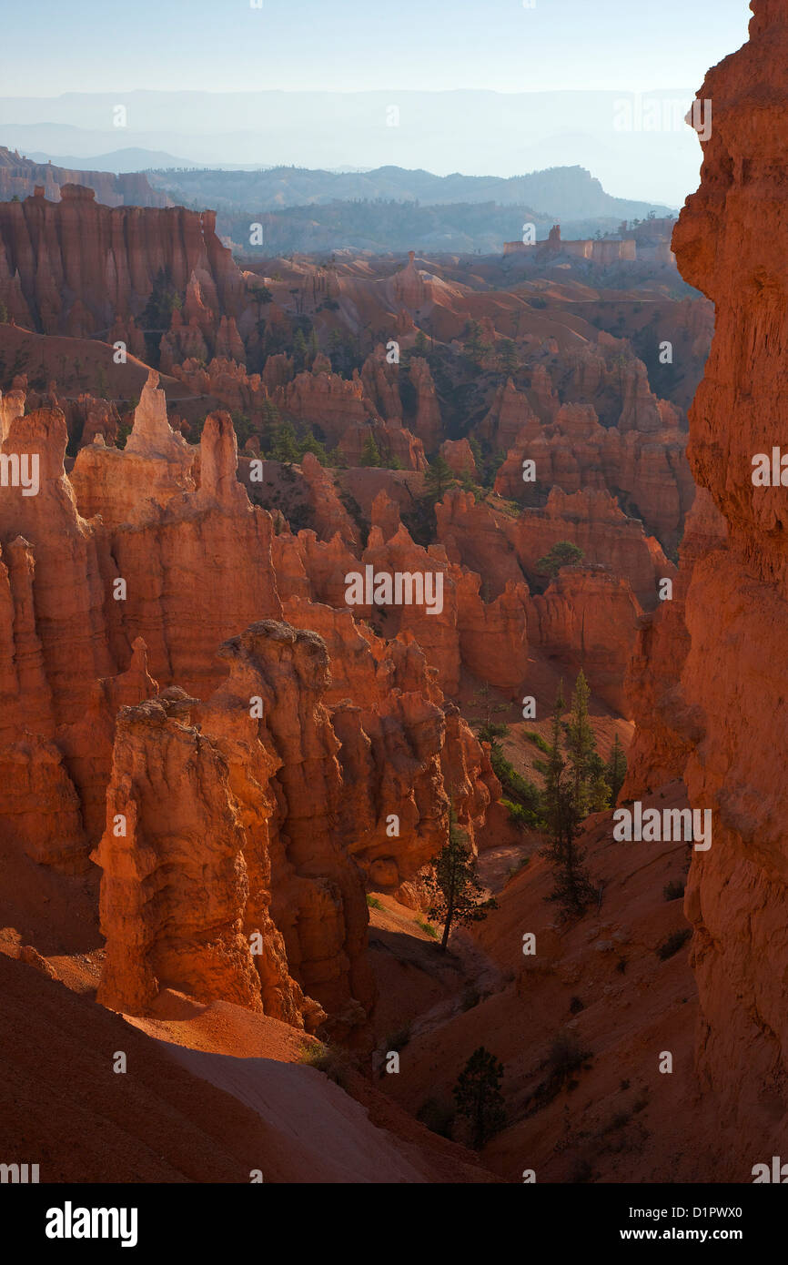 Hoodoos in early morning from Sunset Point, Bryce Canyon National Park, Utah, USA Stock Photo