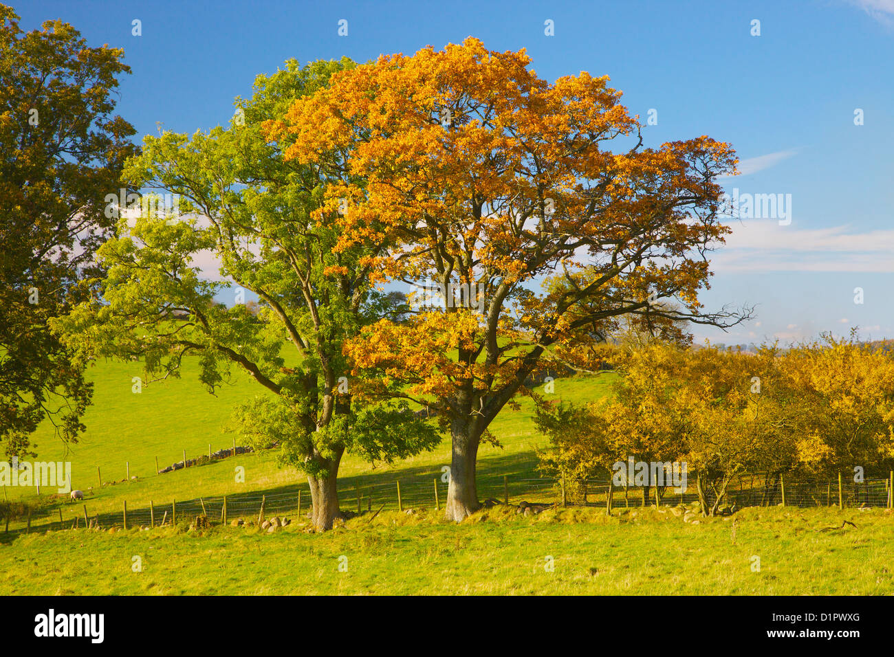 Ainstable cumbria hi-res stock photography and images - Alamy