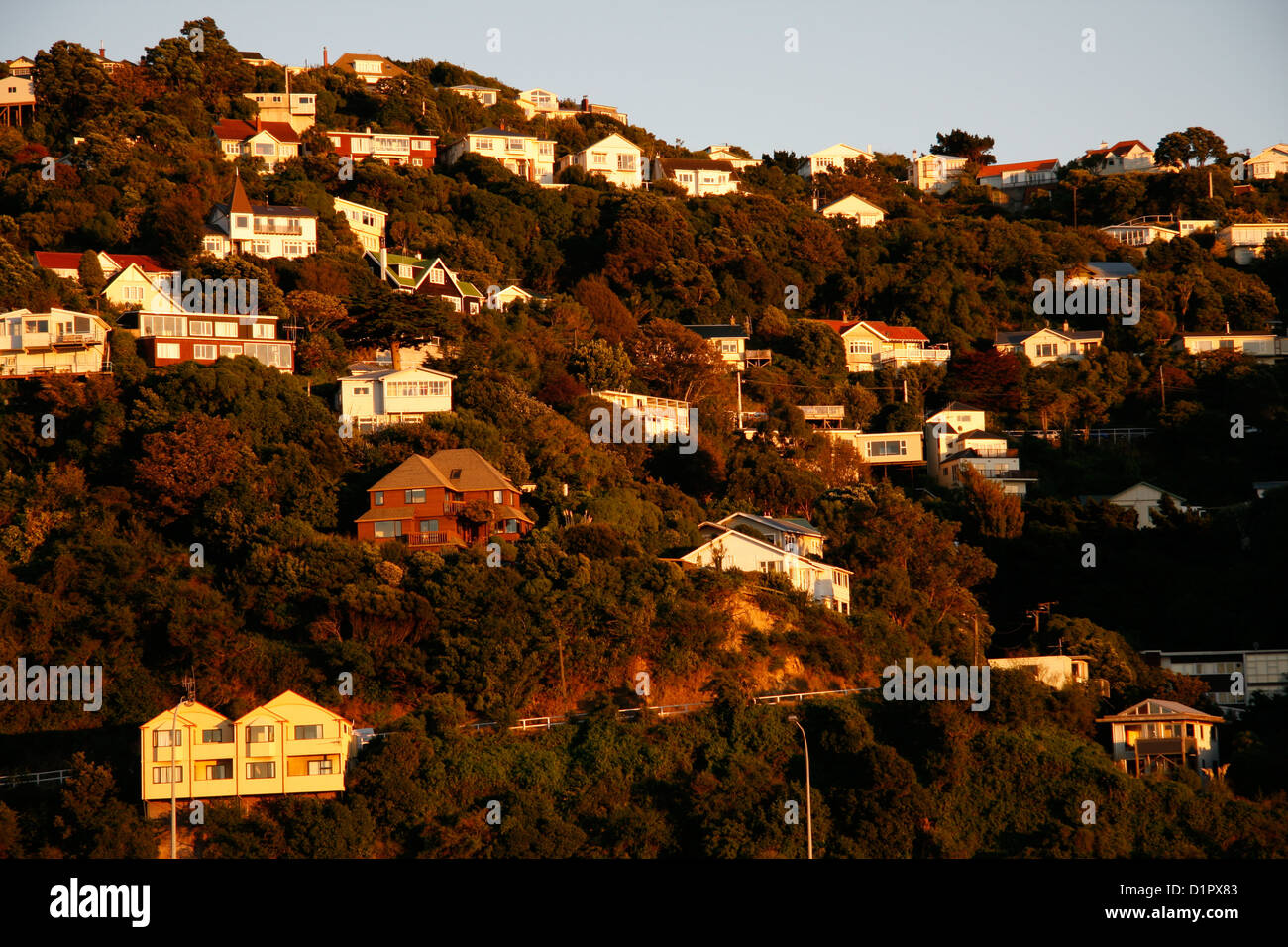 Wellington suburbs in early sun light viewed from the Interislander Ferry Terminal, New Zealand