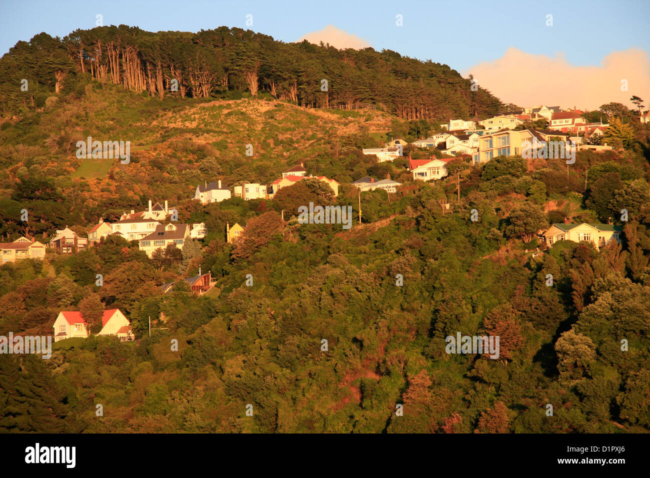 Wellington suburbs in early sun light viewed from the Interislander Ferry Terminal, New Zealand