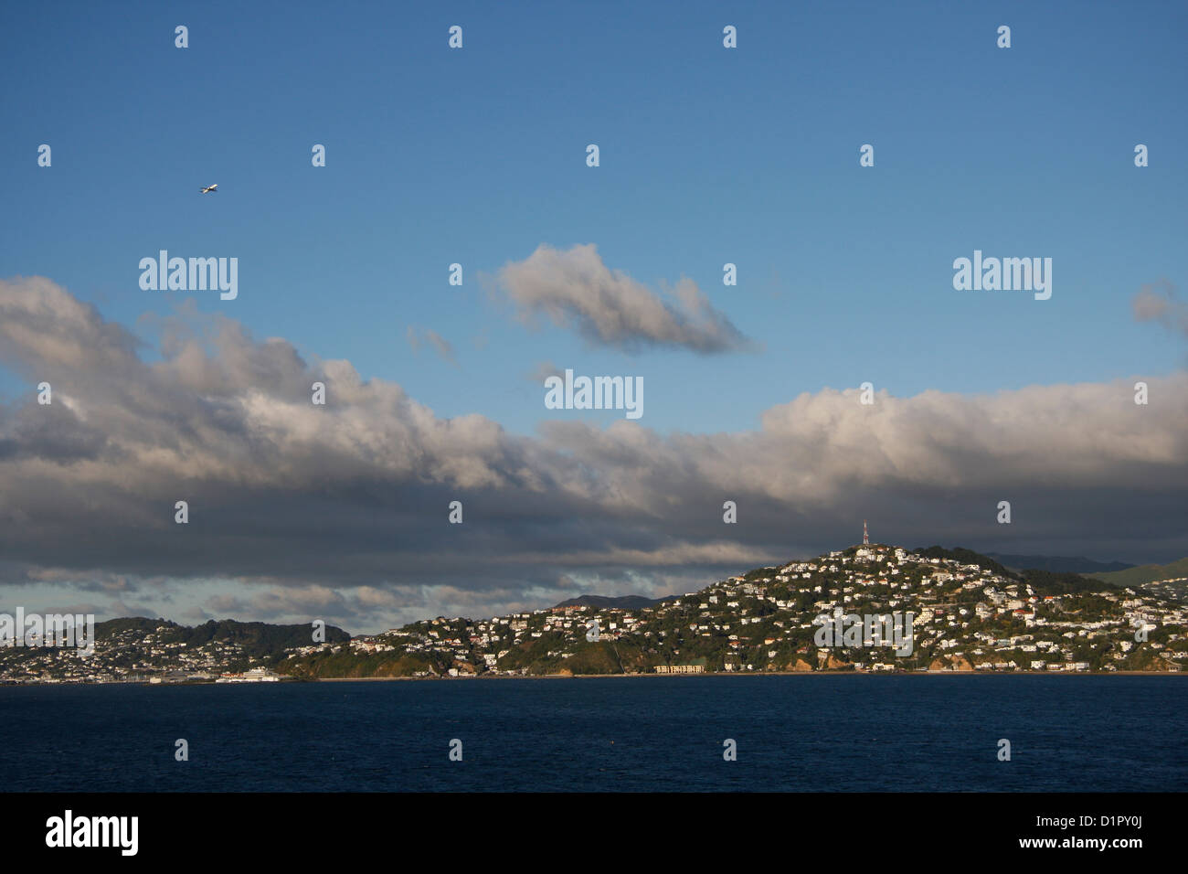 Wellington suburbs with a plane ascending, viewed from Wellington Harbour, New Zealand Stock