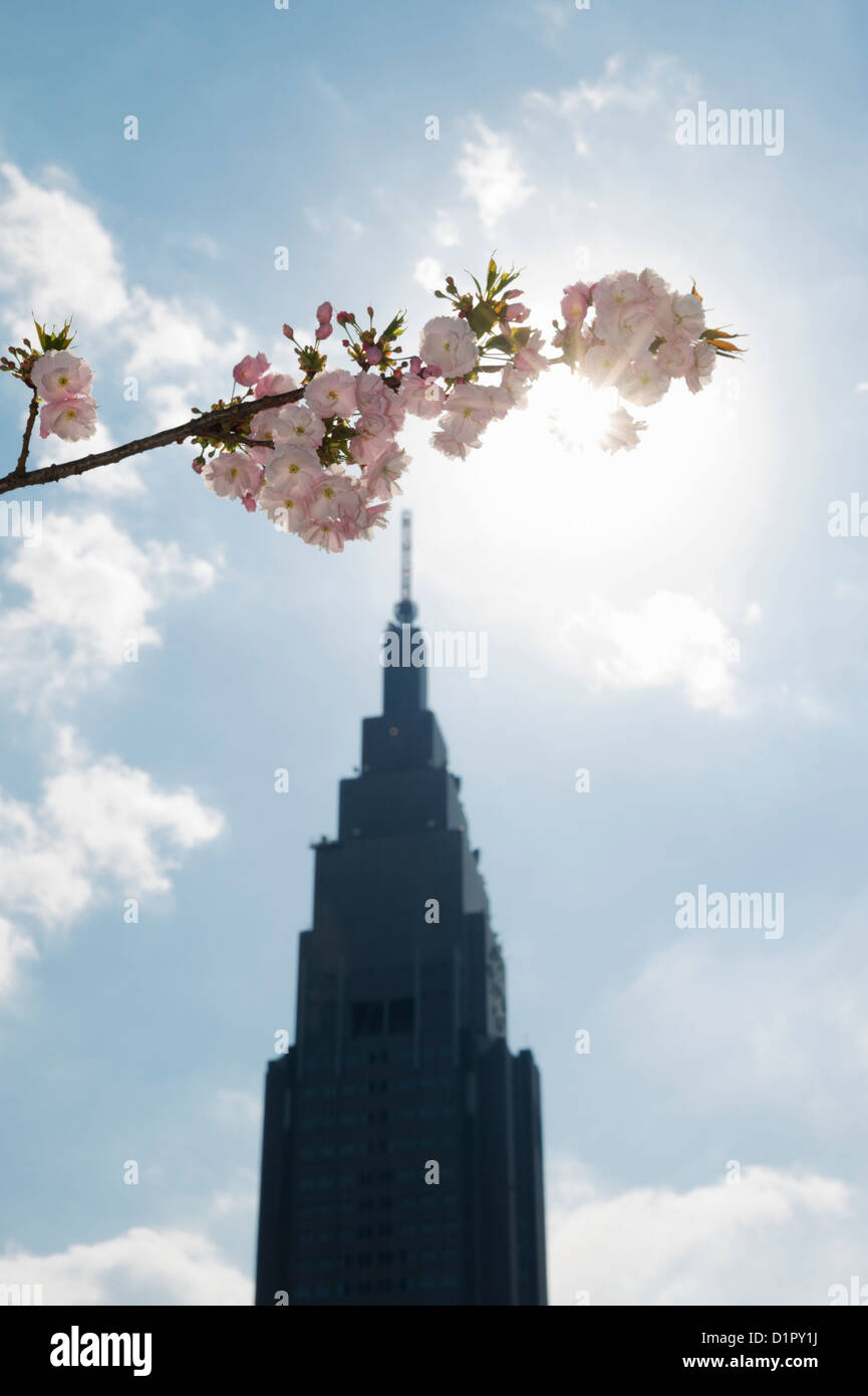 Skyscraper and Sherry tree in bloom at Shinjuku Gyoen National Garden ...