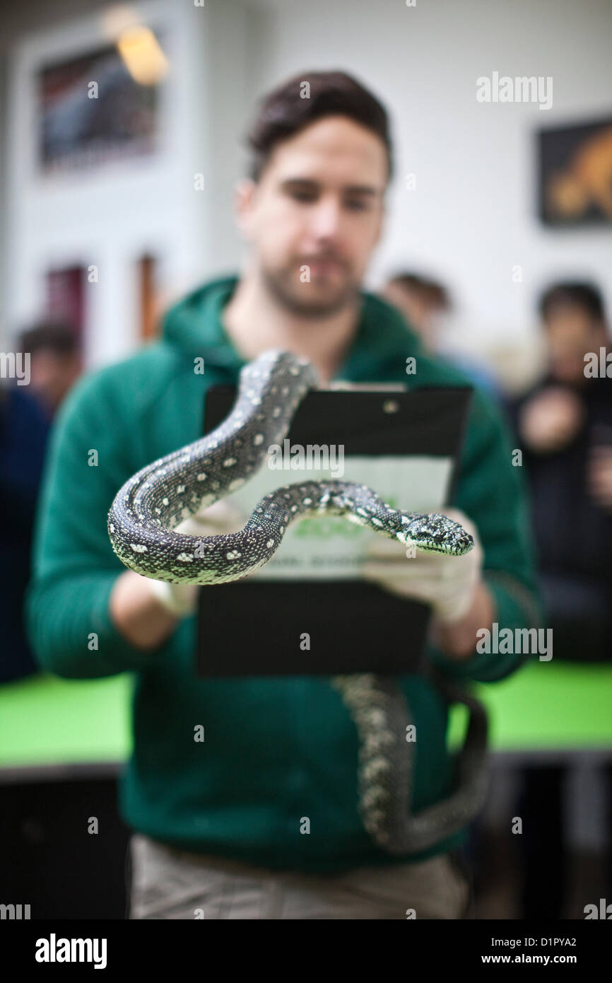 Annual stocktake london zoo hires stock photography and images Alamy