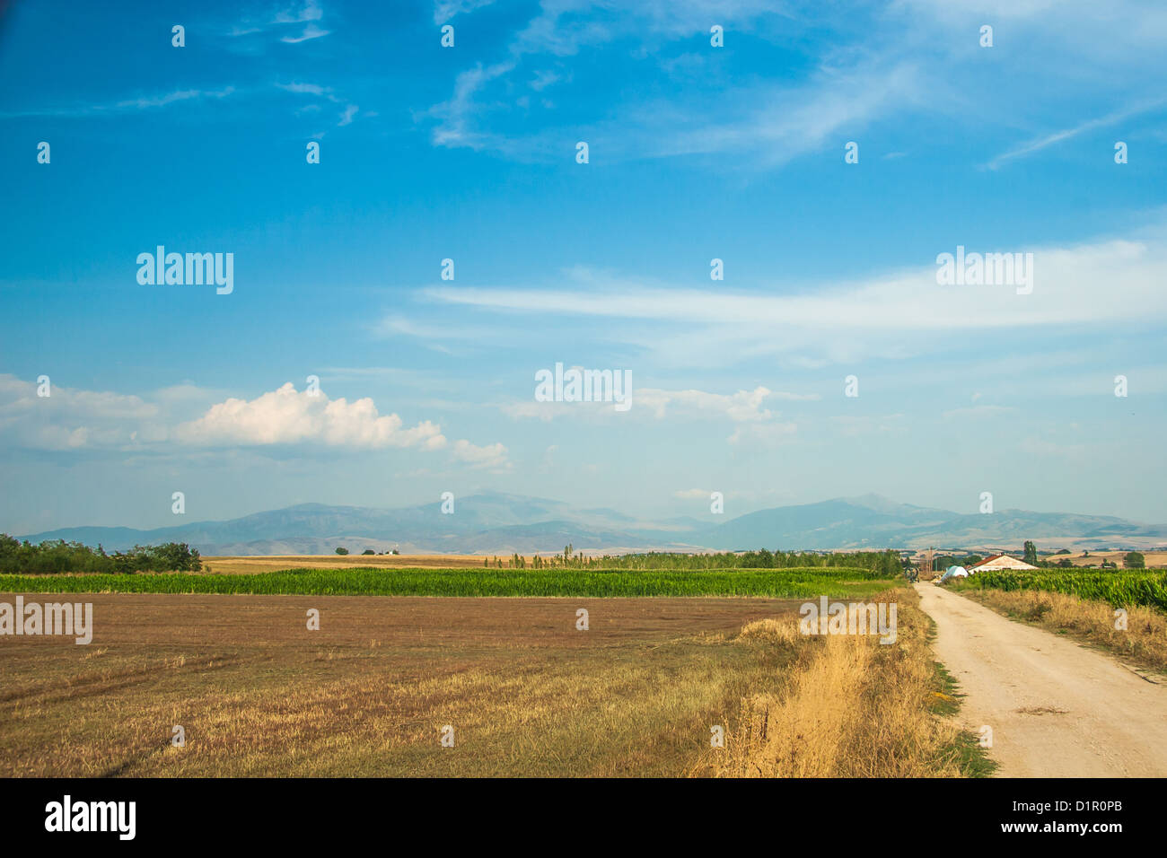 Summer landscape with green grass and clouds Stock Photo - Alamy