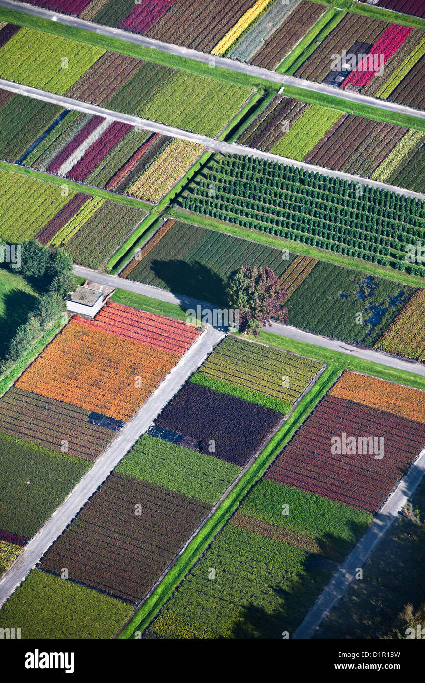 The Netherlands, Veenendaal, Flowers and plant nursery. Aerial. Stock Photo