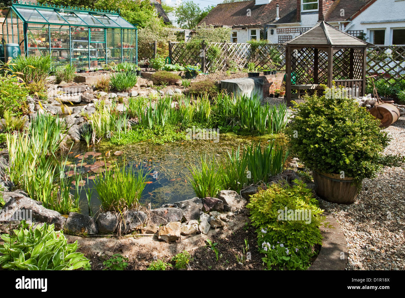 Mature landscaped garden pond in the spring sunshine, Uk Stock Photo