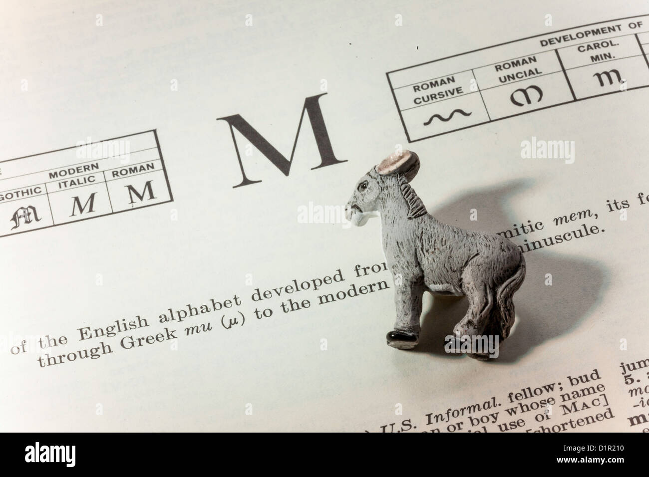 The Letter M In the Dictionary with Toy Mule, Still Life Stock Photo