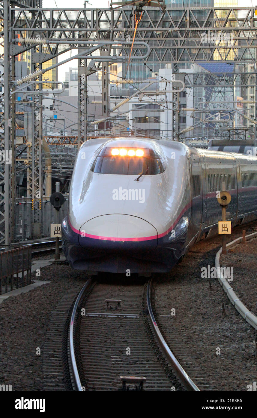 The Tohoku Shinkansen E2 series high-speed rail line arrives at Tokyo Station Japan Stock Photo