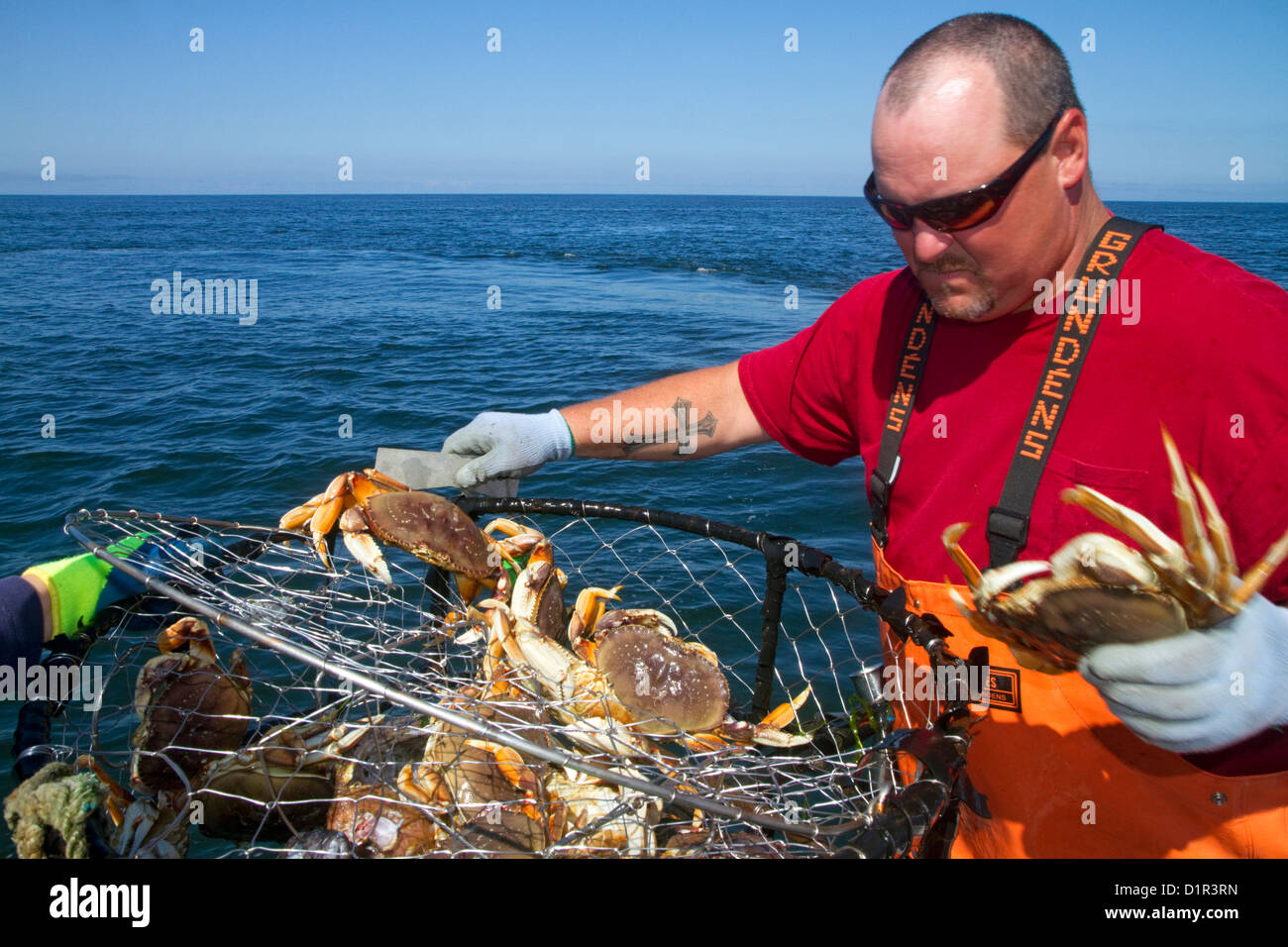 Crab fishing in the Pacific Ocean off the coast of Depoe Bay, Oregon