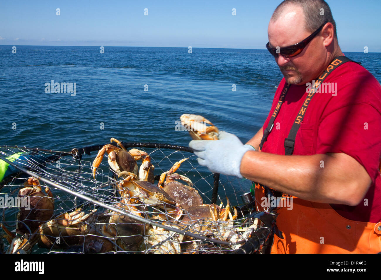 https://c8.alamy.com/comp/D1R46G/crab-fishing-in-the-pacific-ocean-off-the-coast-of-depoe-bay-oregon-D1R46G.jpg