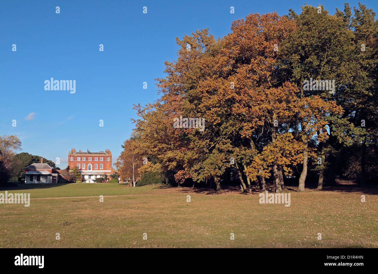 Bushy House, part of the National Physical Laboratory viewed from Bushy Park, Richmond Upon Thames, London, UK. Stock Photo