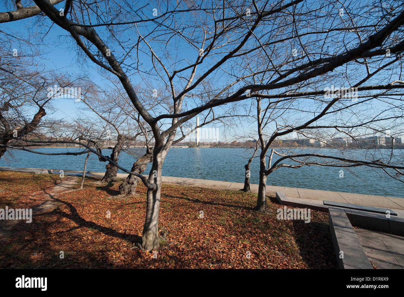 The Washington Monument seen across the Potomac tidal basin in Washington DC, USA from the West Potomac Park Stock Photo