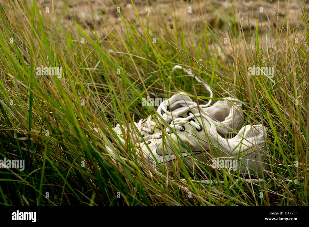 dearest pair of trainers