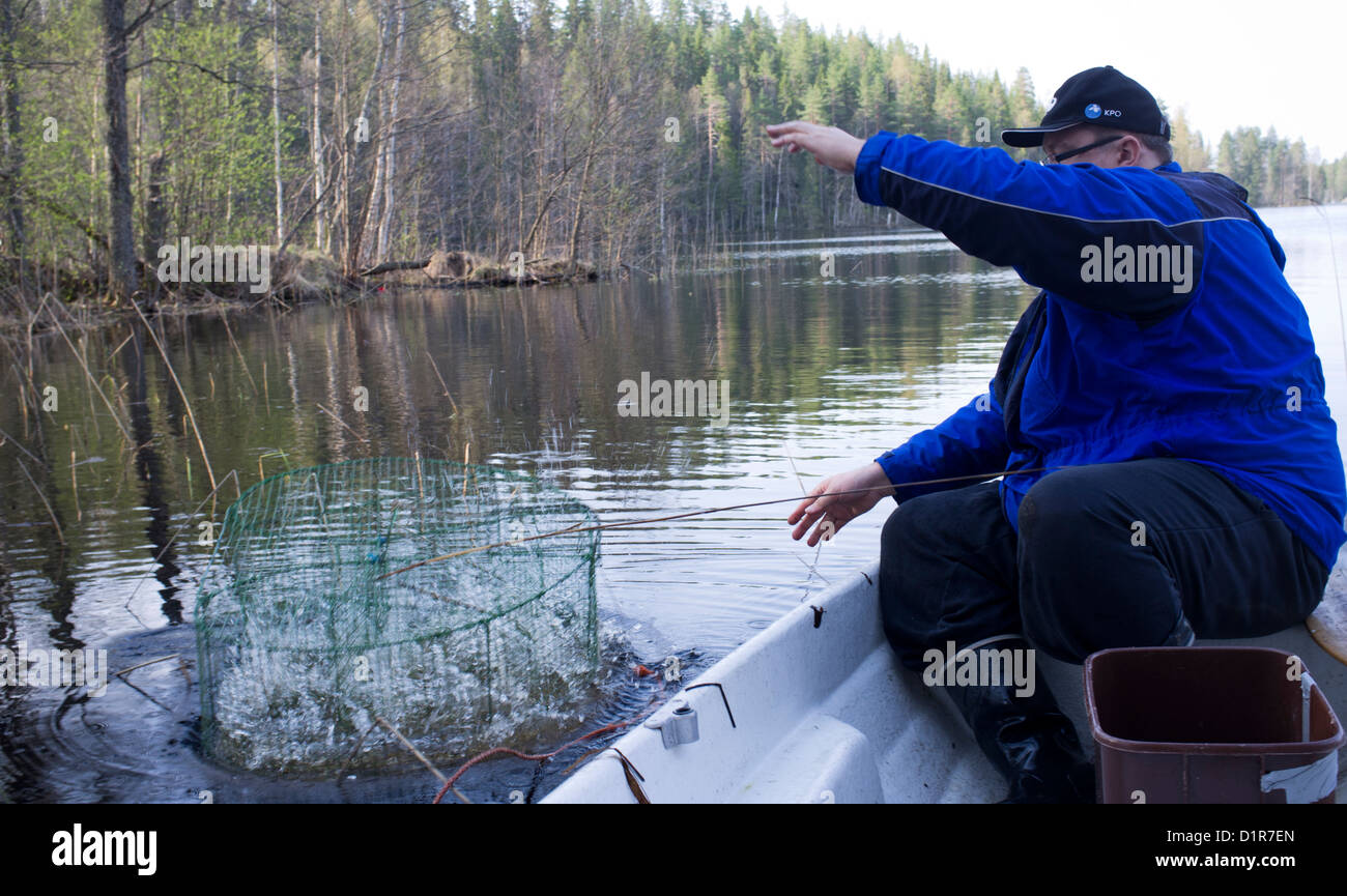 Man throwing a fish-trap , made of wires , back to lake , Finland Stock Photo