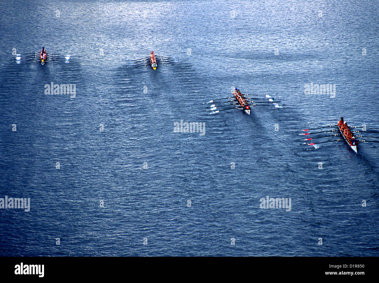 Crew Team Races Crew Race, Seattle Stock Photo - Alamy