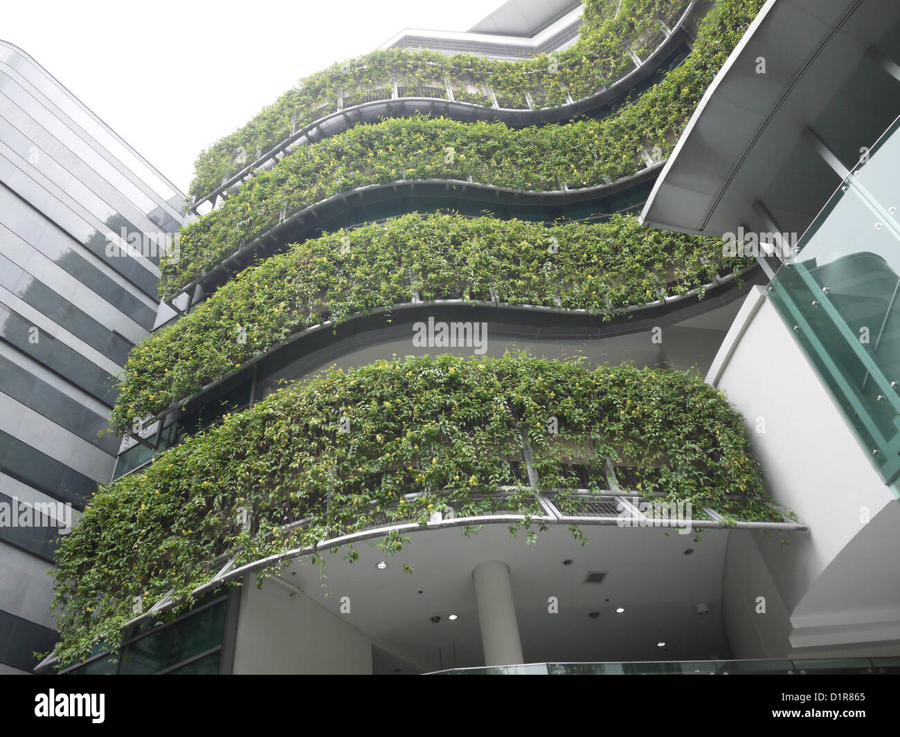 green plant building eco friendly Stock Photo
