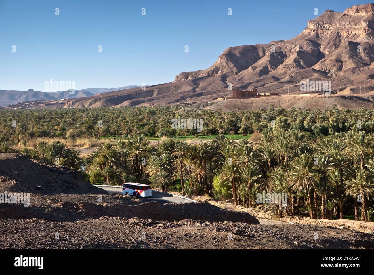 Morocco, near Agdz, Oasis and kasbah. 4x4 car. Stock Photo