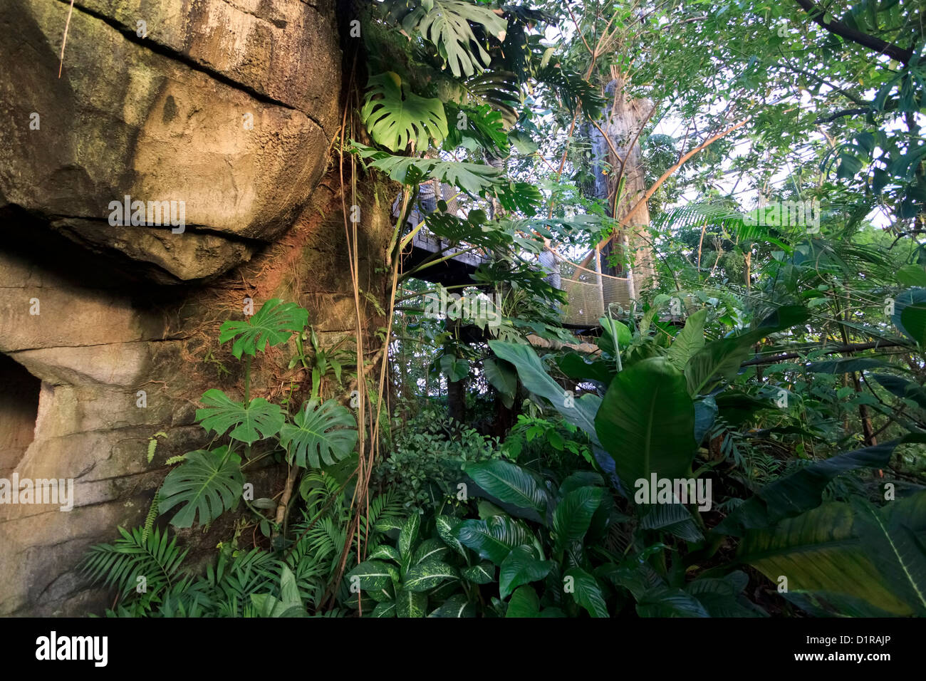Inside Randers Regnskov Zoo Randers Denmark Stock Photo Alamy Inside Randers Regnskov Zoo Randers Denmark Stock Photo Alamy