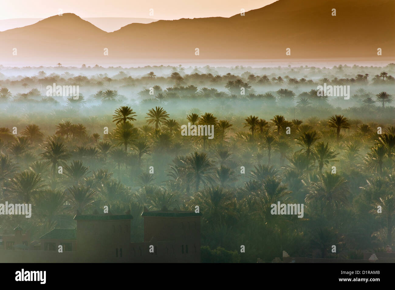 Morocco, near Zagora, kasbah Ziwane near hotel Dar El Hiba. Sunrise over oasis and palm trees. kasbah and ksar. Stock Photo