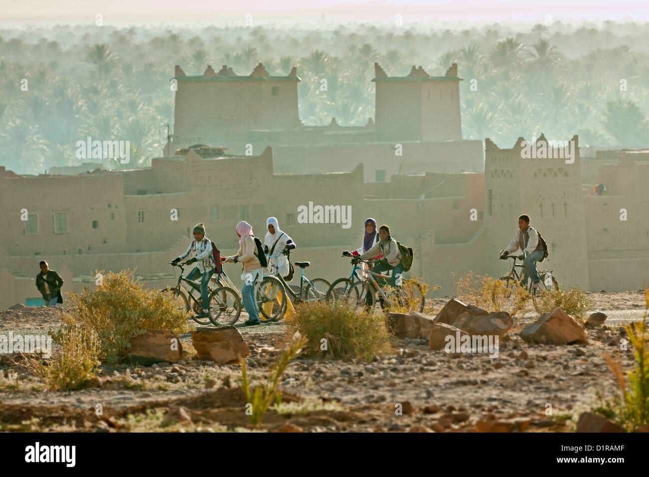 Morocco, near Zagora, kasbah Ziwane. Sunrise over oasis and palm trees. kasbah and ksar. Children going to school. Stock Photo