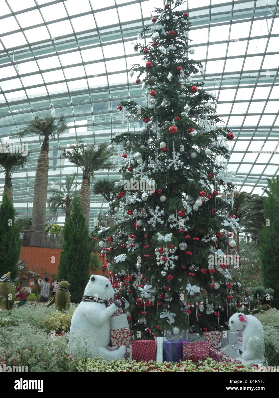 Christmas tree inside conservatory Stock Photo