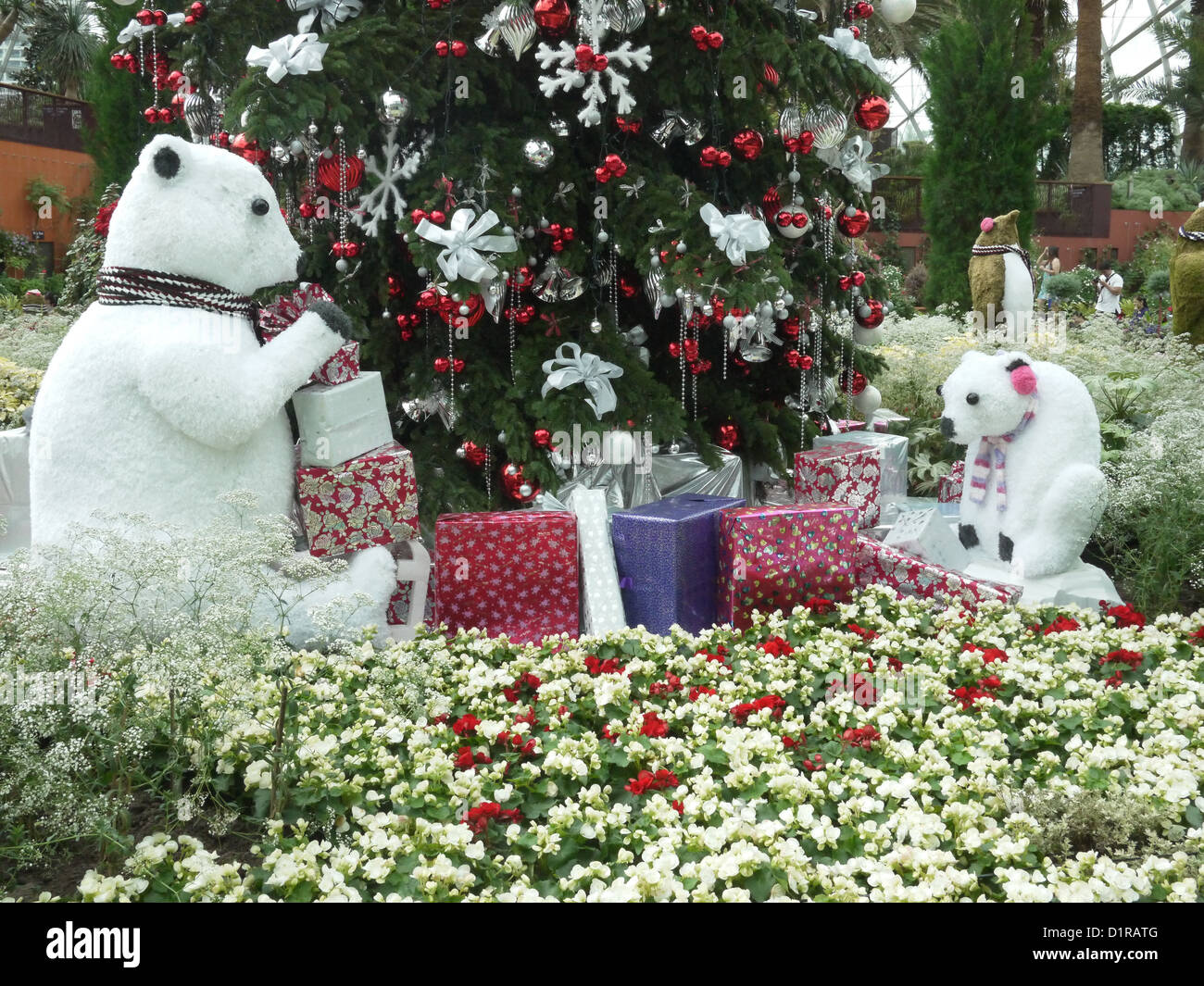 Polar bear Christmas tree present Stock Photo
